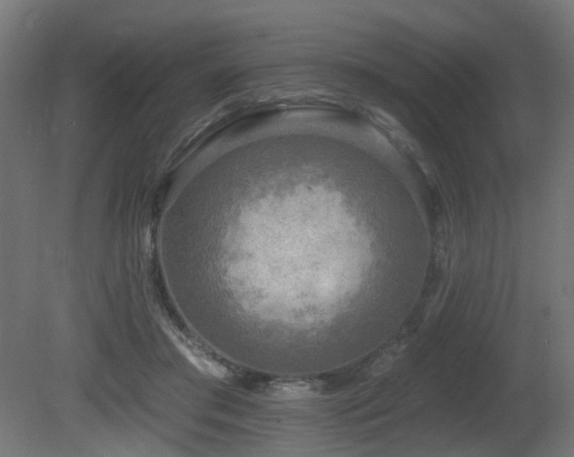 X0000081280405200701111338