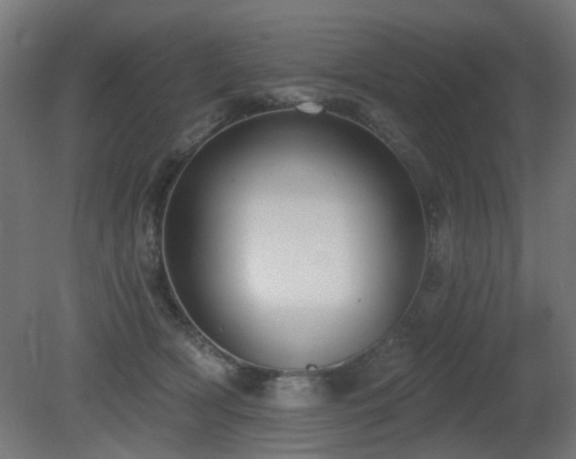 X0000081280418200701111337