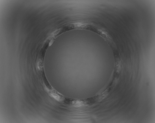 X0000081280419200701111337