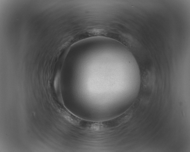 X0000081280420200701111337
