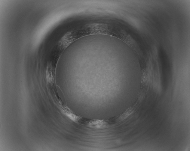 X0000081280431200701111337