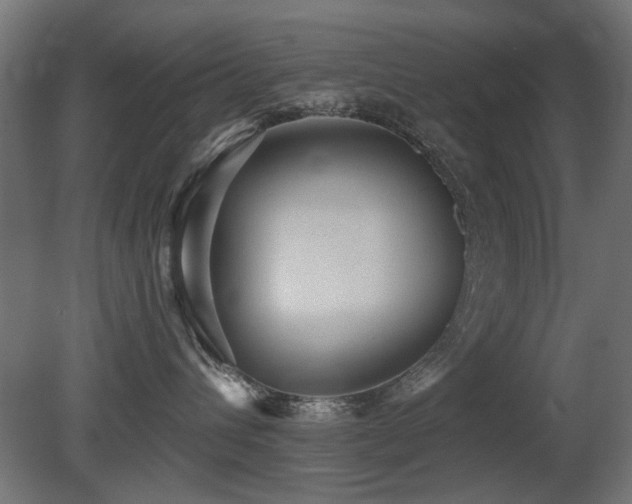 X0000081280432200701111337