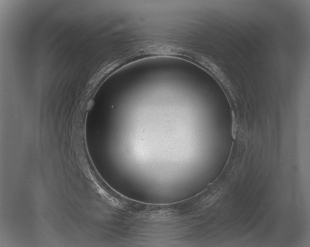 X0000081280433200701111336