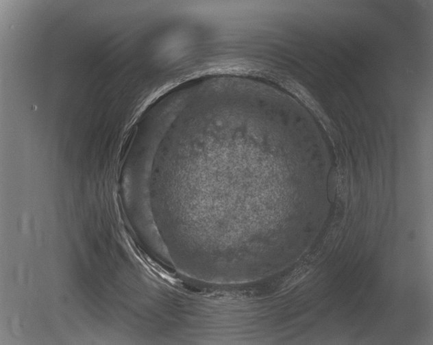 X0000081280434200701111336
