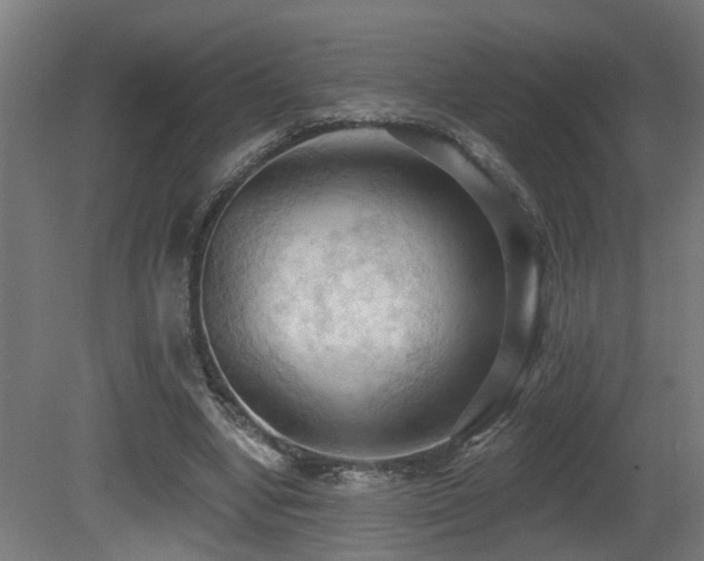 X0000081280442200701111336