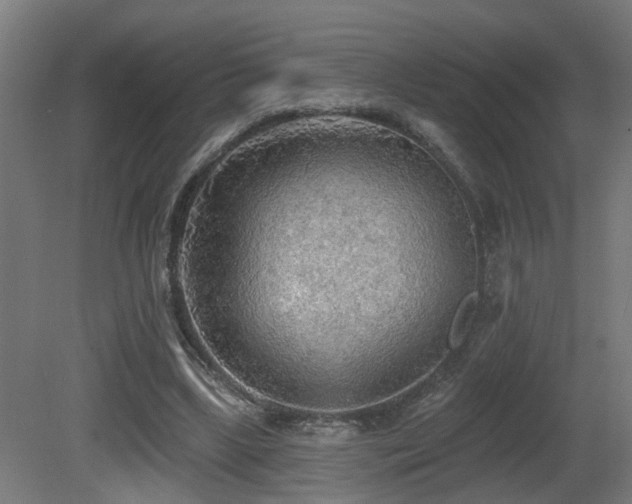 X0000081280443200701111336