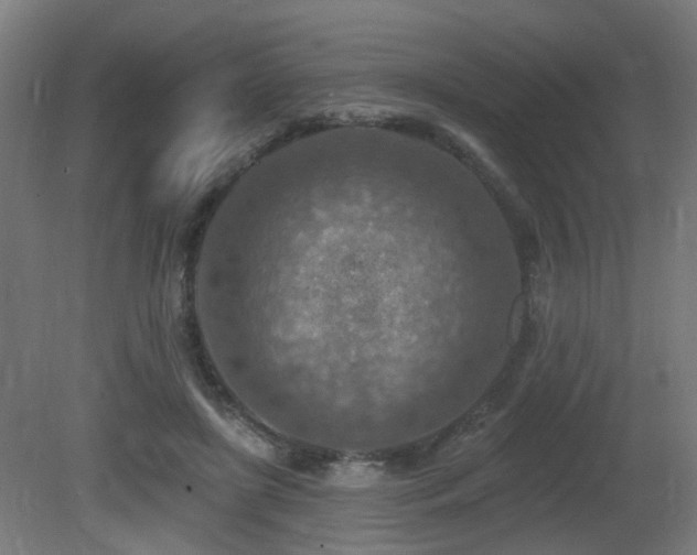 X0000081280451200701111337