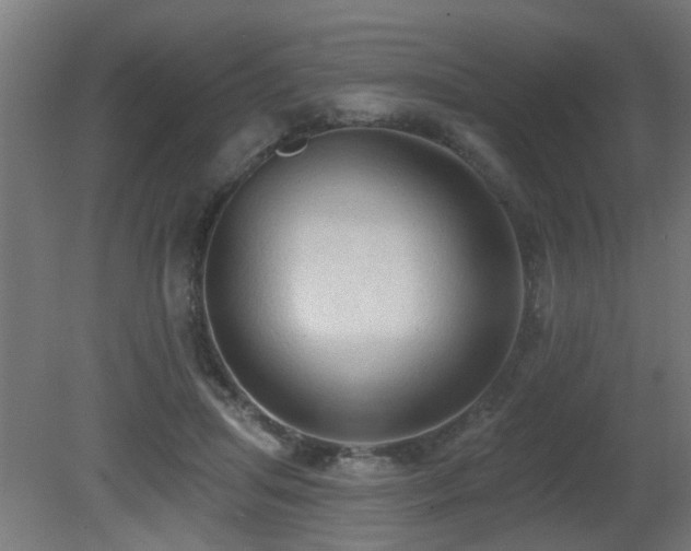 X0000081280455200701111337