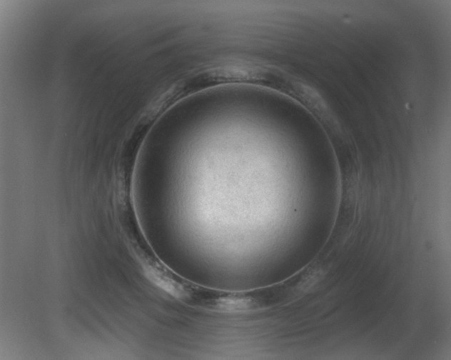 X0000081280457200701111337