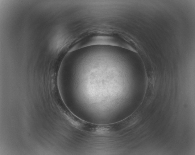 X0000081280462200701111337