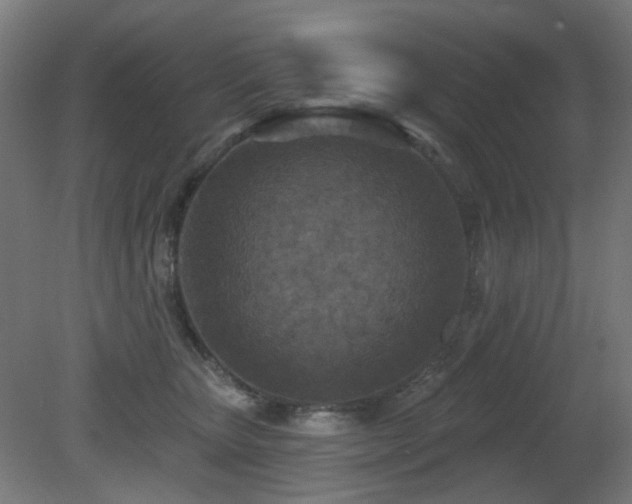 X0000081280467200701111337