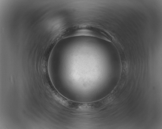 X0000081280470200701111337