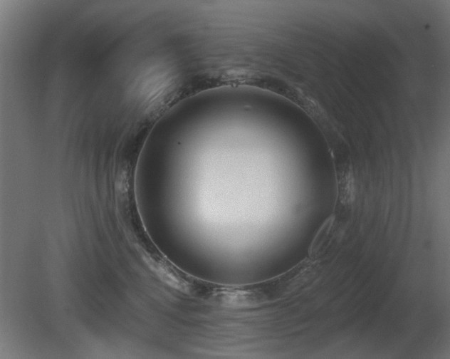 X0000081280472200701111337