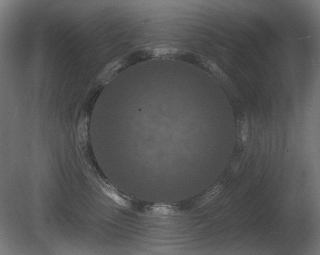 X0000081280475200701111337