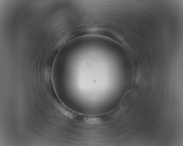 X0000081280476200701111337