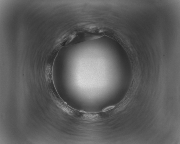 X0000081280480200701111337