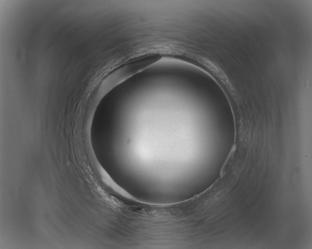 X0000081280481200701111336