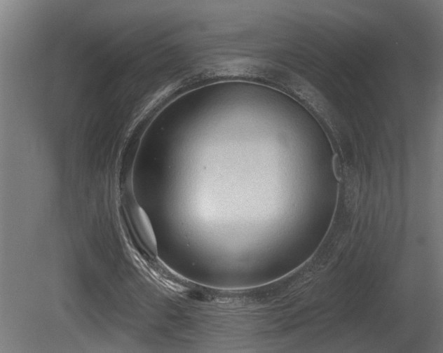 X0000081280482200701111336