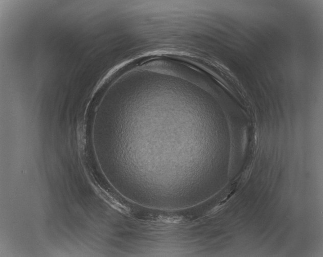 X0000081280484200701111336