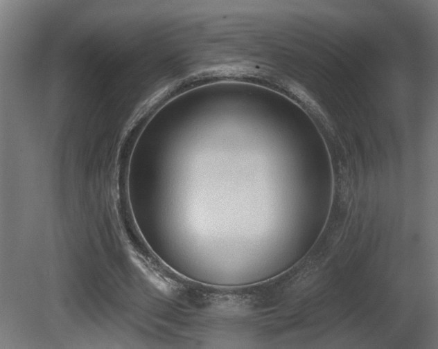 X0000081280486200701111336