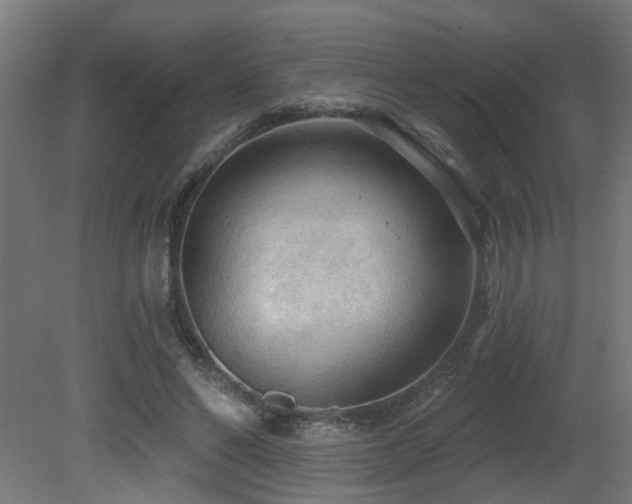 X0000081280494200701111336