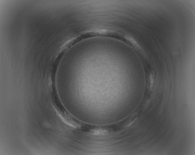 X0000081280500200701111336