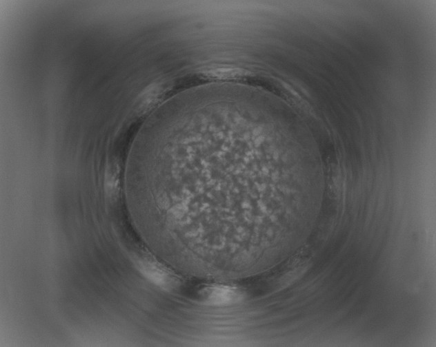 X0000081280507200701111336