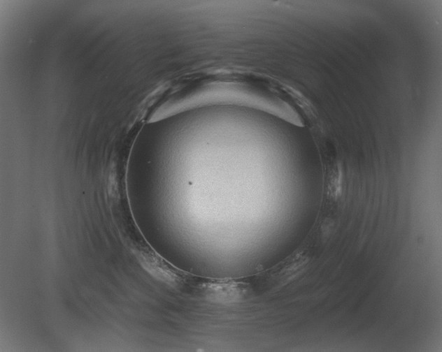 X0000081280524200701111336