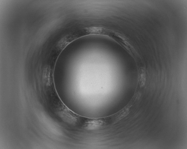 X0000081280525200701111336