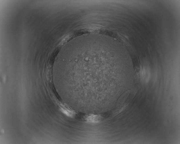 X0000081280527200701111335