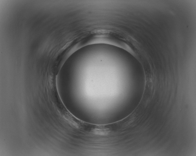 X0000081280556200701111335