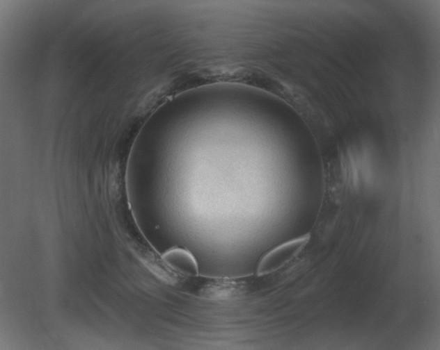 X0000081280563200701111335