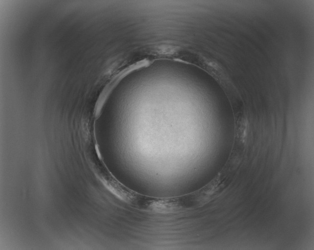 X0000081280568200701111335