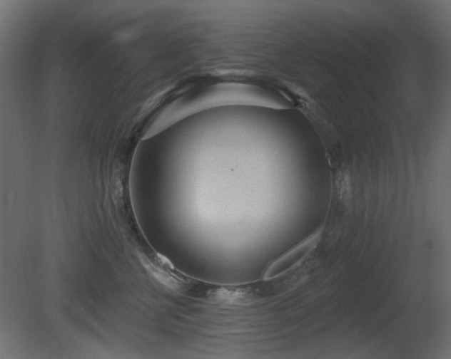 X0000081280570200701111335
