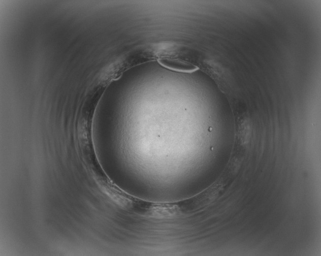 X0000081280571200701111335