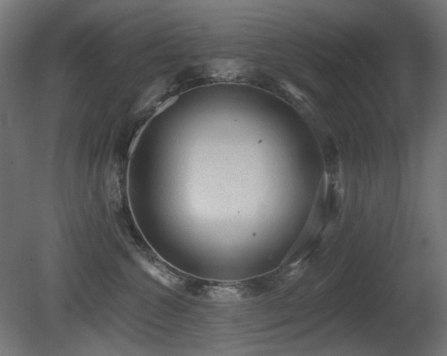 X0000081280572200701111335