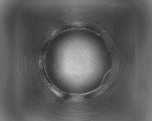 X0000081280576200701111335