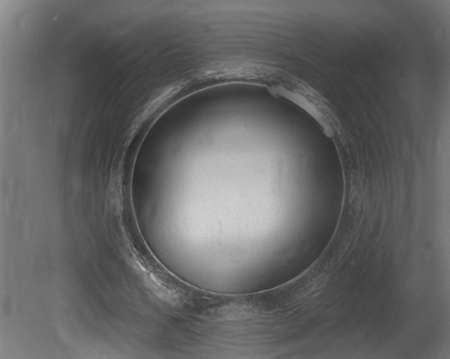 X0000081280578200701111335