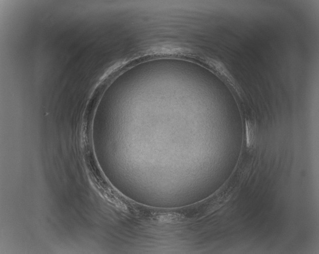 X0000081280579200701111335