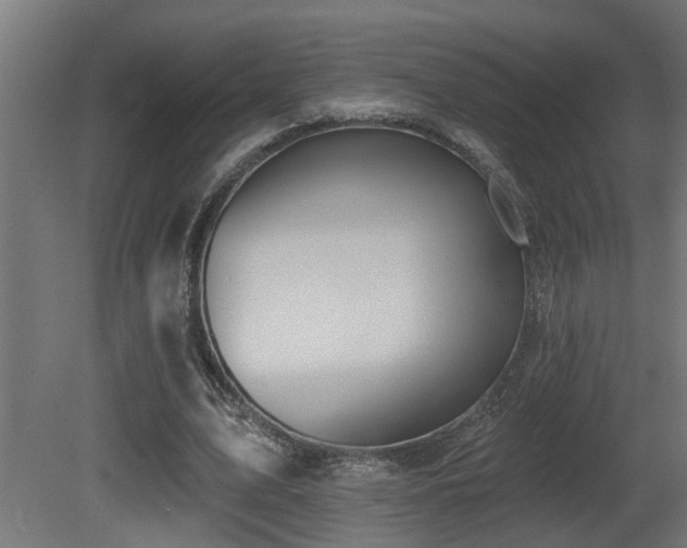 X0000081280583200701111334