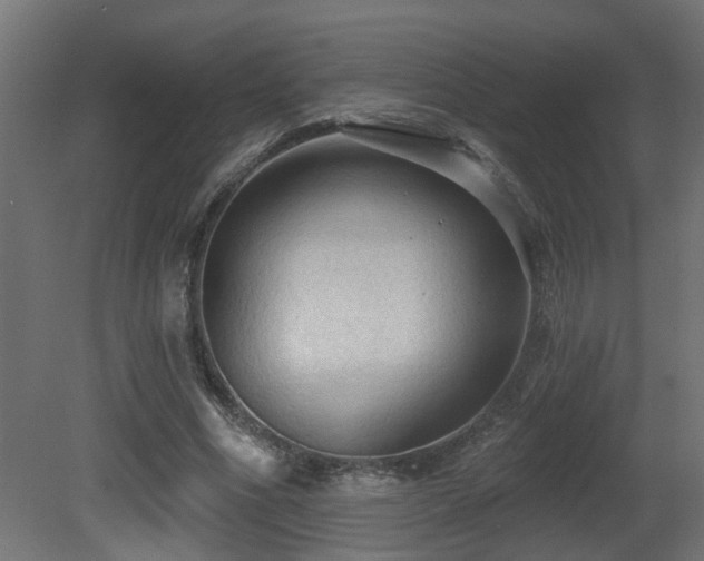 X0000081280586200701111334