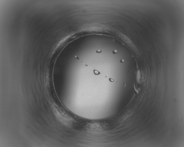 X0000081280588200701111334