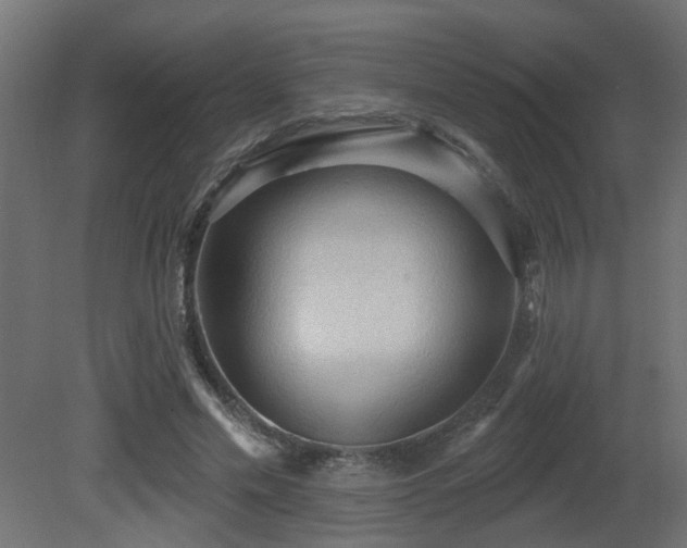 X0000081280589200701111334