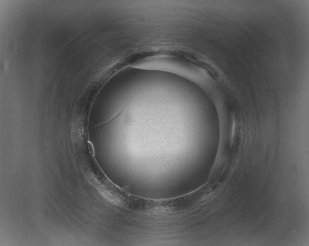 X0000081280593200701111334