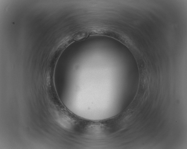 X0000081280595200701111334