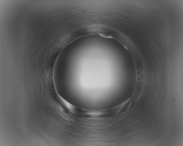 X0000081280601200701111334