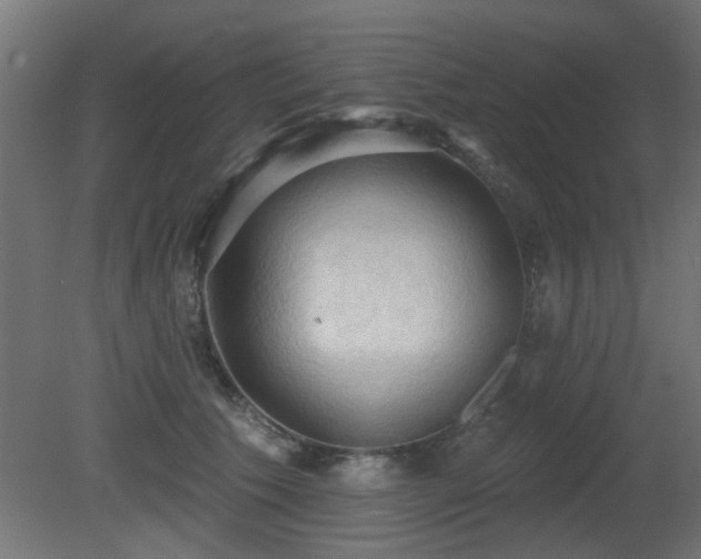 X0000081280609200701111334