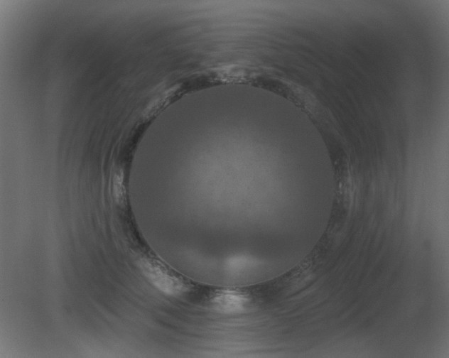X0000081280610200701111334