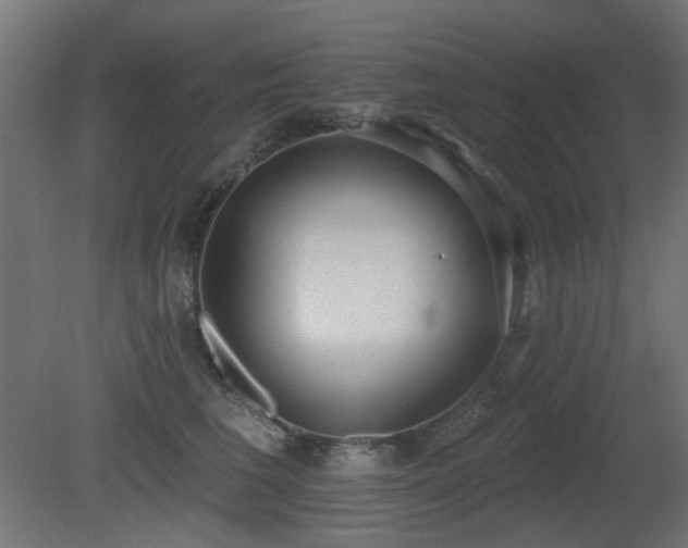 X0000081280613200701111334
