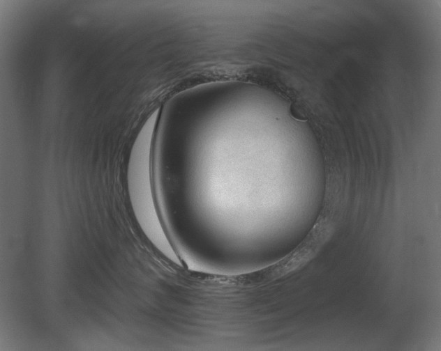 X0000081280624200701111334